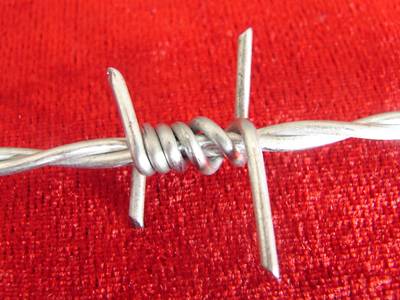 galvanized double twist barbed wire
