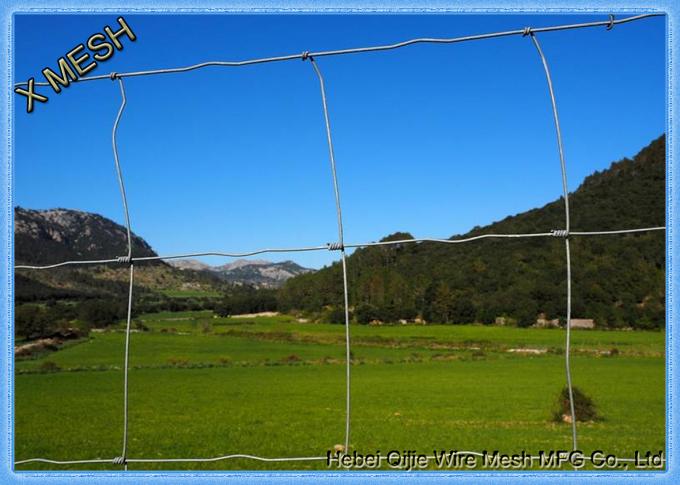 Horse Field Fence Horse Field Fence