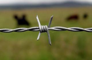 Double twist barbed wires Double twist barbed wires
