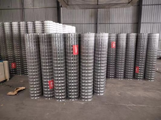 25x25mm Hole Hot Dipped Galvanized Welded Wire Mesh