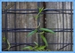 Eco Mesh Modular Plant Trellis System / Green Wall Wire Trellis System 50x50mm