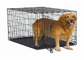 5x10x6ft 1kg Galvanized Steel Dog Kennel Crate