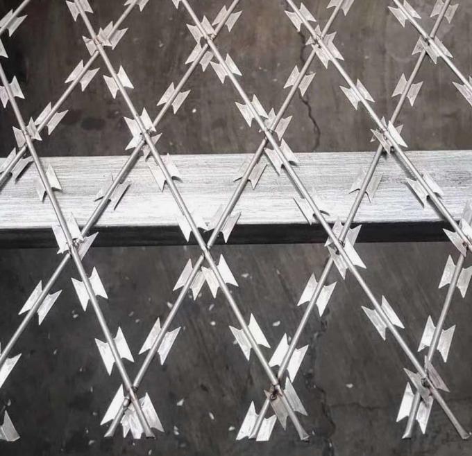 Small Loop Concertina Razor Barbed Steel Wire With Clips Single & Cross Razor Type (BTO-22) 1