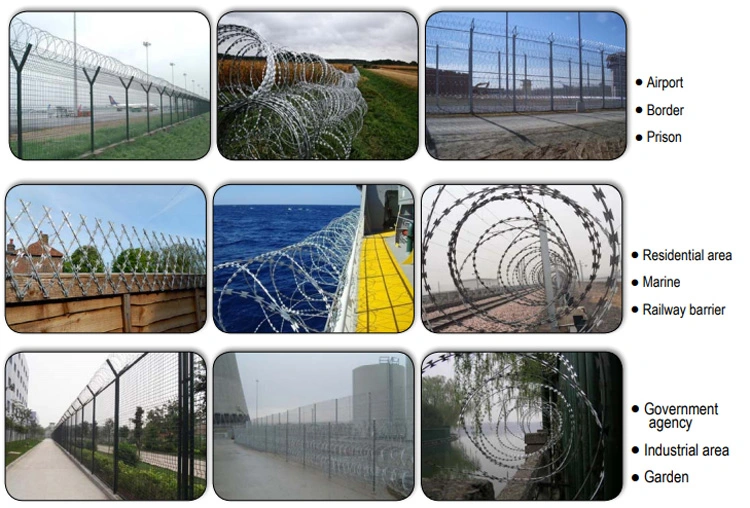 Blade Fencing Wire Barb Wire Concertina Razor Wire