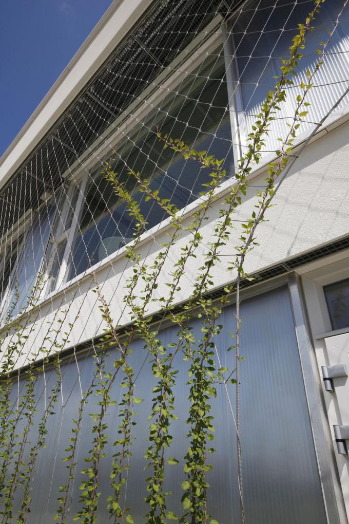 Flexible Stainless Steel 304 316 Wire Rope Mesh Net For Garden Fence 9