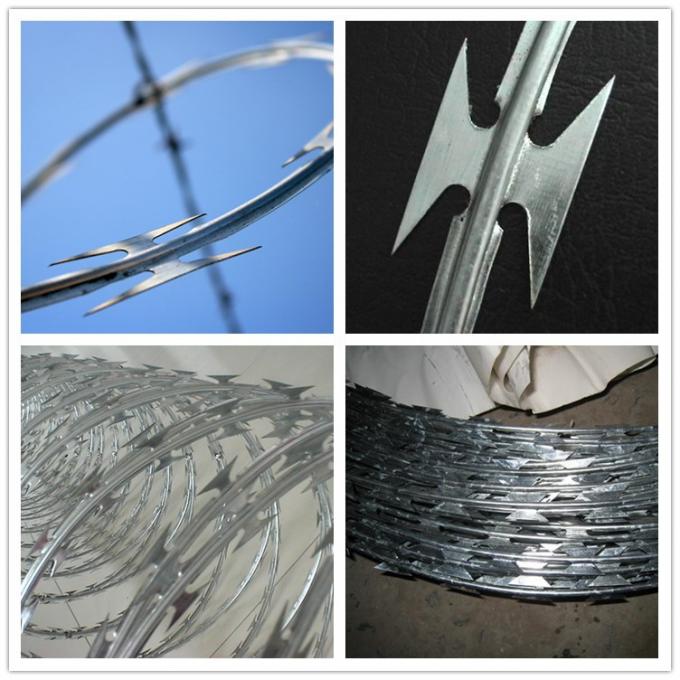 Galvanized Security Fencing Concertina Price Razor Barbed Wire 3