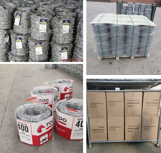 Low Price Concertina Hot Dipped Galvanized Razor Barbed Wire 3