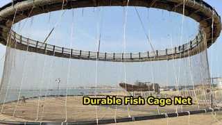 PET Fishing Net for Fish Cages
