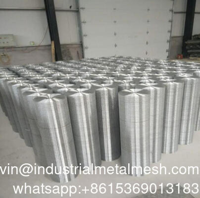 Hot Dipped Galvanized 1/2 Inch Welded Wire Mesh for Chicken Coop Vegrtables Garden and Home