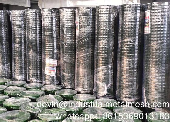 Best Price Building Material Galvanized Welded Wire Mesh on Sale