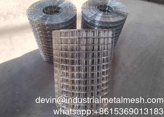 1/2 Inch Galvanized Welded Wire Mesh for Protection and Construction