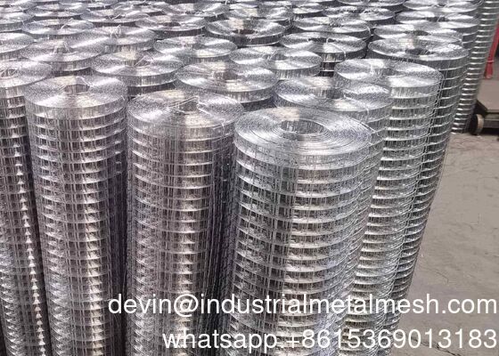 Galvanized Hardware Cloth 1 Inch Square Hole Stainless Welded Wire Mesh