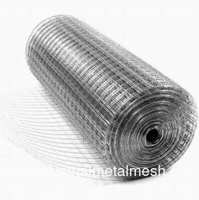1/4inch 1/2inch 1inch 2 Inch Square Mesh Galvanized Welded Wire Mesh