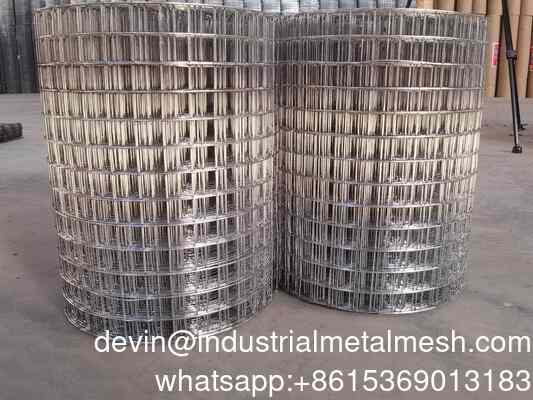 High Quality Zinc Coated Galvanized Bird Cage Welded Wire Mesh Roll