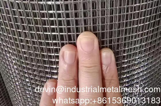 6 Gauge Welded Wire Mesh Fence Panels/Welded Wire Mesh Panel