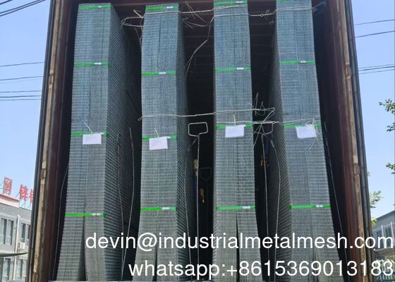 Electro Galvanized 2*2 Welded Wire Mesh Panel 2m*1m for Construction