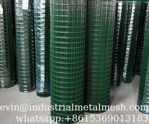 Durable Galvanized Stainless Steel Welded Wire Mesh for Fencing