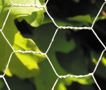 Acid Resistance Stainless Chicken Wire For Poultry Fencing And Gabions In Roll