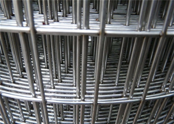 1/4x1/4 Inch 1/2x1/2 Inch 1x1 Inch 2x2 Inch Welded Wire Mesh