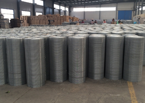 Hot Dipped Galvanized 4x4 Inch Openning Welded Wire Mesh Rolls