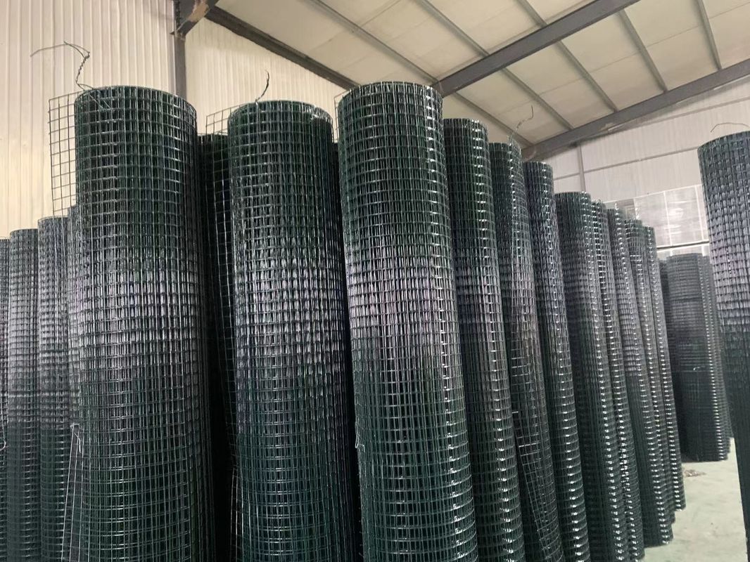 Woven 1 X 1 Galvanized Welded Wire Mesh For Bird Cage / Rabbit Cage