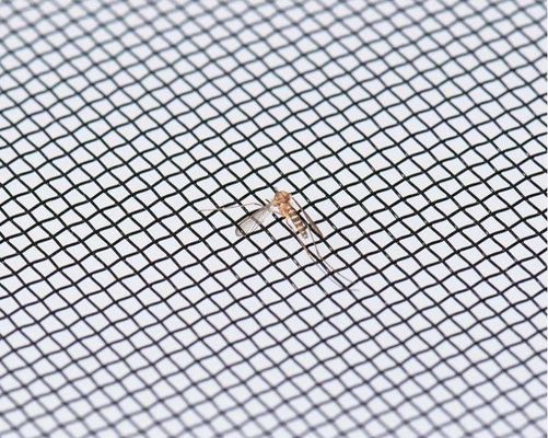 Factory Cheap Reinforcement Security Fly Screen Mesh for Windows