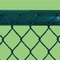 60x60mm Pvc Coated Galvanized Chain Link Fence Fabric For Security