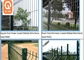 Farm Used Curved Metal3D Welded Wire Fence Powder Coated