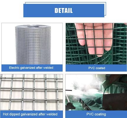 Galvanized Welded Wire Mesh For Garden Fence Pvc Coated