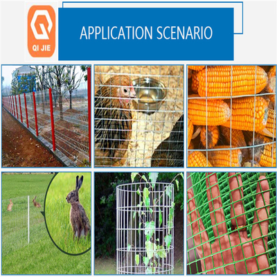 Electro Welded Galvanized Bird Cage Welded Iron Wire Mesh Multifunctional