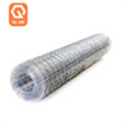 Electro Welded Galvanized Bird Cage Welded Iron Wire Mesh Multifunctional