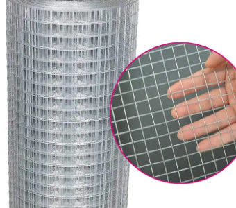 1/4"-8inch Aperture Pvc Coated Hot Galvanized Welded Iron Wire Mesh Non Rusting
