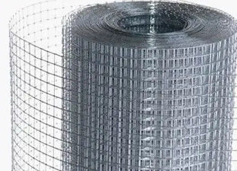 Zinc Coated Metal Wire Mesh 1.8mm 1.6mm Galvanized Bird Cage Wire Mesh Roll