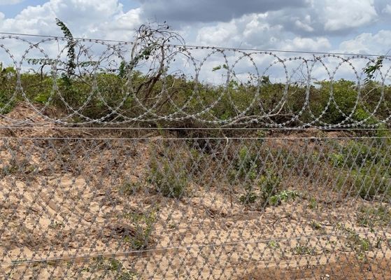 Hot Dipped Galvanized Concertina Razor Barbed Wire 960mm BTO-12