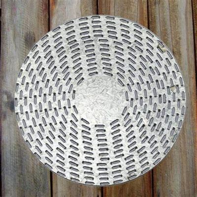 Galvanized Anti Split Plate Truss Nail 10 Inch