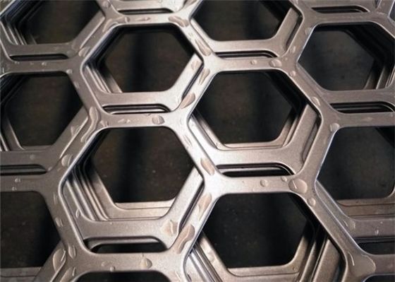 Duplex Quality Stainless Steel Hexagonal Perforated Metal Plate Aquaculture And Saltwater