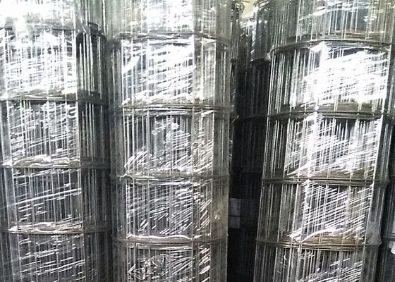 3mm Wire Diameter 15cm Openning Black Welded Wire Mesh for South American Market
