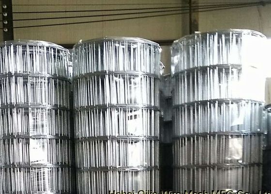 3mm Wire Diameter 15cm Openning Black Welded Wire Mesh for South American Market
