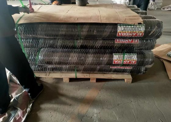 Pvc Galvanized 0.6mm Dia Hexagonal Chicken Wire Mesh 3/4 Inch Openning