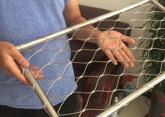304/316 7*7 Zoo Wire Mesh Fence Green Wall Mesh Safety Net