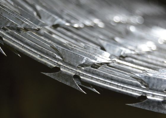 Galvanized Barbed Wire Security Guard Stainless Steel Wire Razor Wire
