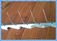 Hot Dipped Galvanized And PVC Coated Black Medium Wall Spikes 0.8mm Thickness