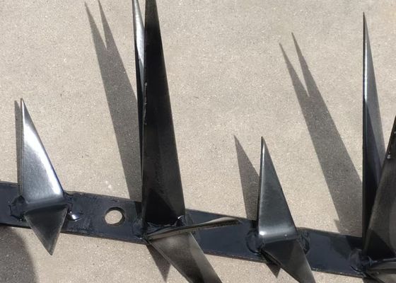 1m Length Large Sized SGS Hot Dipped Galvanized Anti Climb Wall Spike For Security