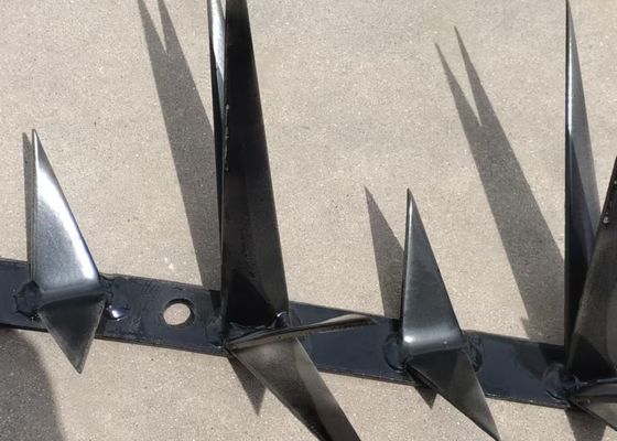 Anti Climb Fence Security Wall Spikes Single Razor Type With Galvanized / Powder Coated Surface Treatment