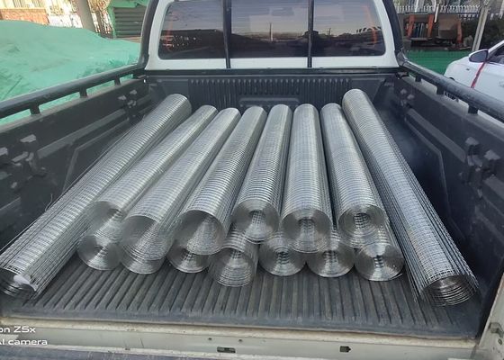3mm Construction 1/4 X 1/4 Inch Welded Wire Mesh