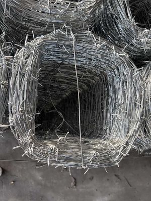 Hot Dipped Galvanized Barbed Wire for Mesh Security Fencing