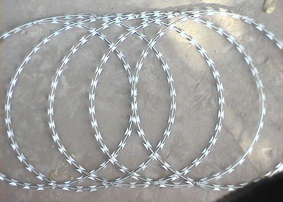 2.5mm Cbt-60 Barbed Concertina Wire Stainless Steel