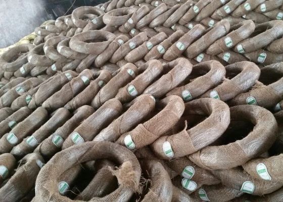 Galvanized Steel Electro Galvanized Wire Iron Binding Galvanized Wire BWG12