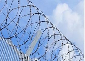 Blade Fencing Barb 450mm Concertina Razor Wire Bto-18
