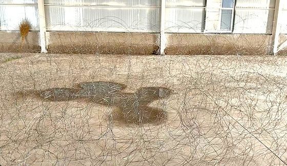 MZP Anti-Tank Metal Wire Mesh 10x10x1.4m Low-Visibility Barrier